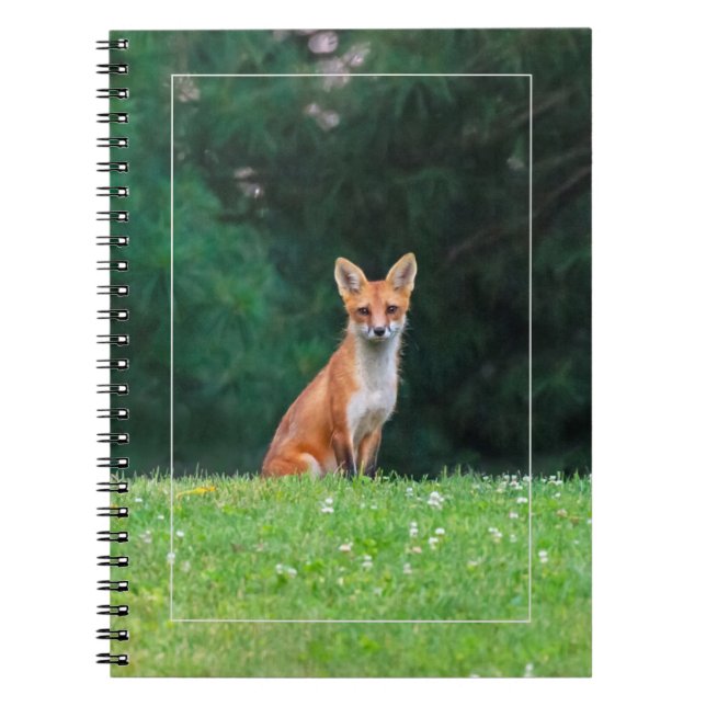 Cute Fox Notebook (Front)