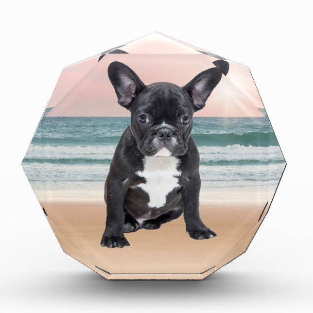 Cute French Bulldog Beach Sun Water Award (Front)