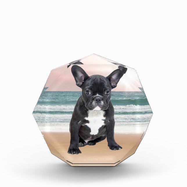 Cute French Bulldog Beach Sun Water Award (Front)