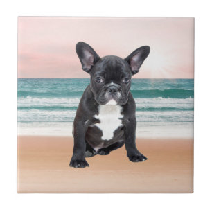 Cute French Bulldog Beach Sun Water Ceramic Tile