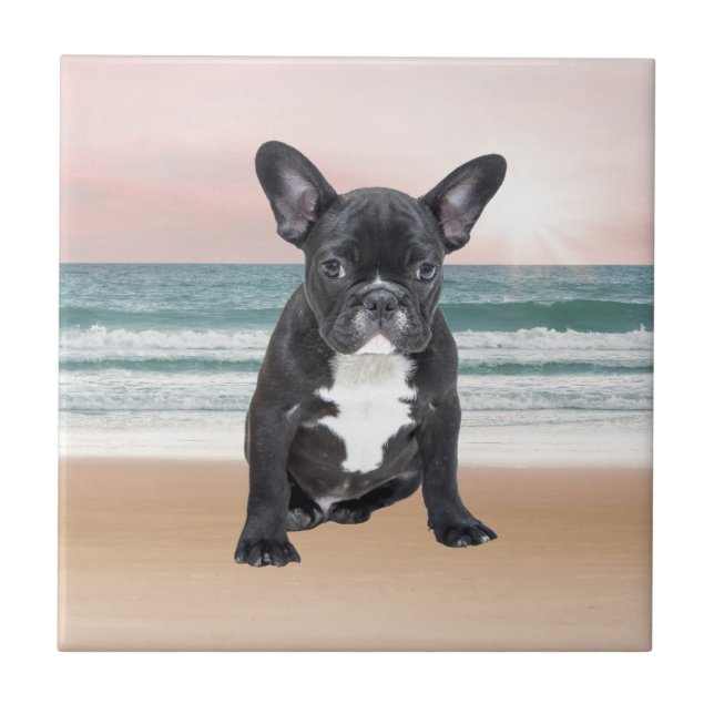 Cute French Bulldog Beach Sun Water Ceramic Tile (Front)