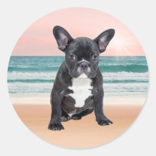 Cute French Bulldog Beach Sun Water Classic Round Sticker