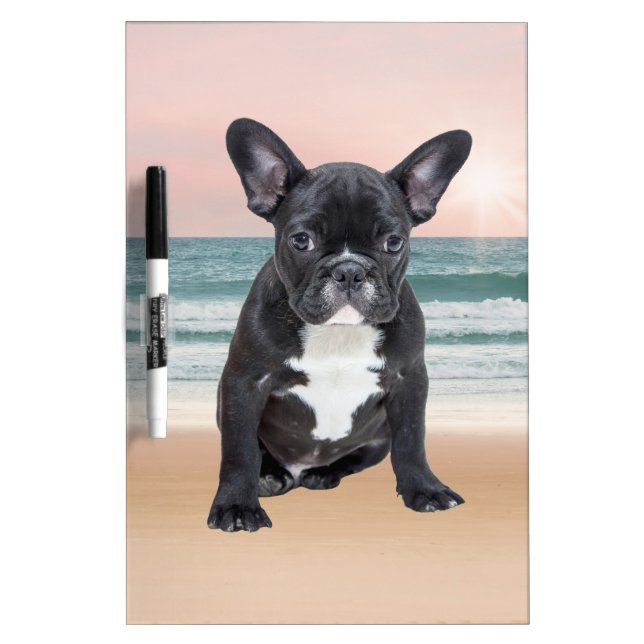 Cute French Bulldog Beach Sun Water Dry-Erase Board (Front)