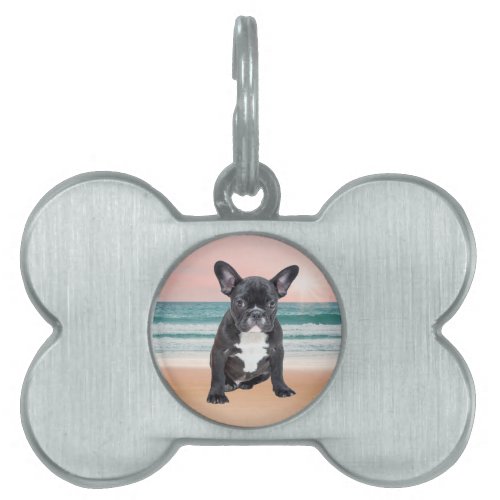 Cute French Bulldog Beach Sun Water Pet Name Tag