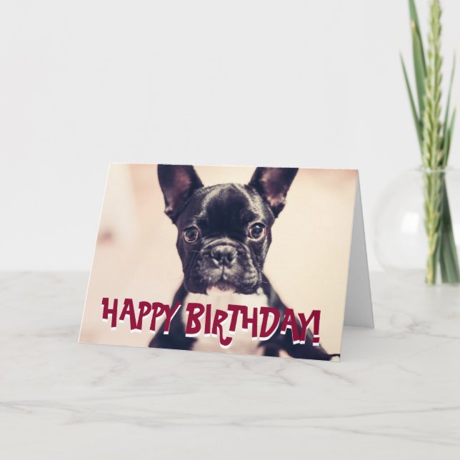 Cute French Bulldog birthday card (Front)