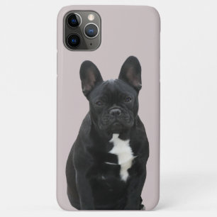 Cute French Bulldog iPhone 11 Pro Max Case