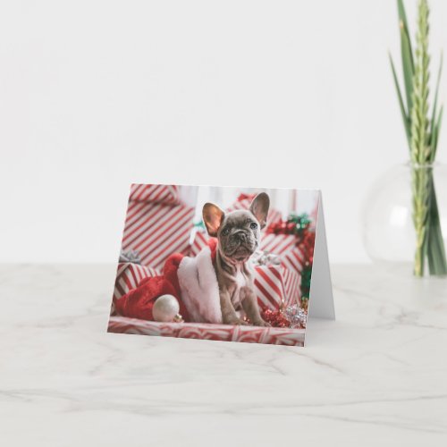 Cute French Bulldog Christmas Card