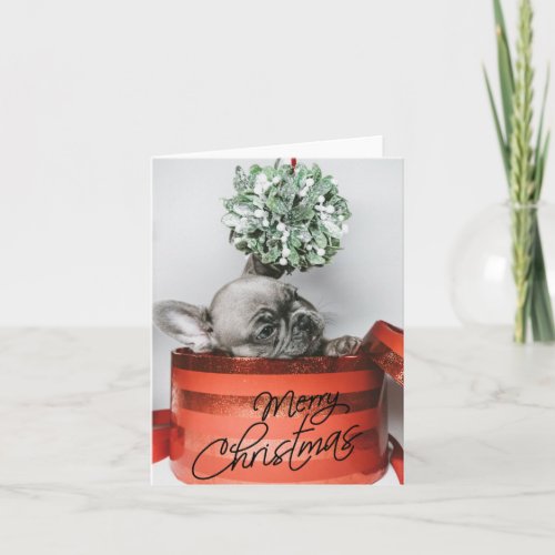 Cute French Bulldog Christmas Card