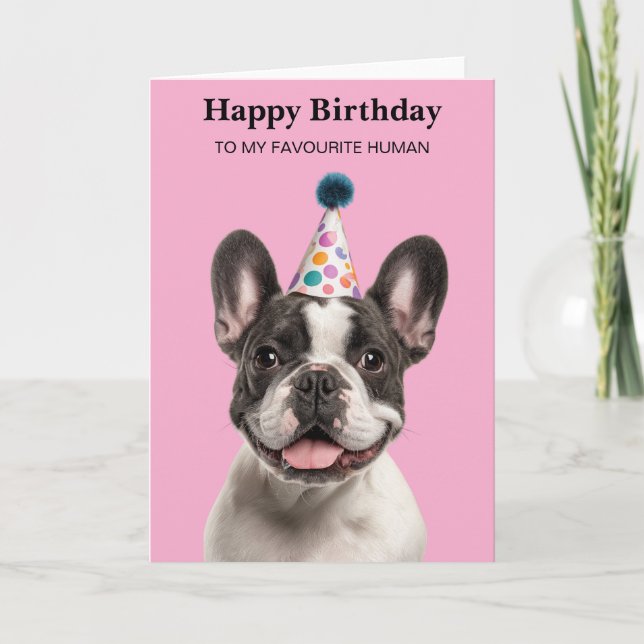 Cute French Bulldog Custom Birthday  Card (Front)