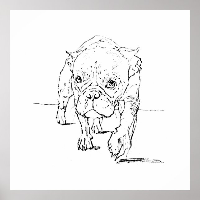 Cute French Bulldog, Dog Illustration  Poster (Front)