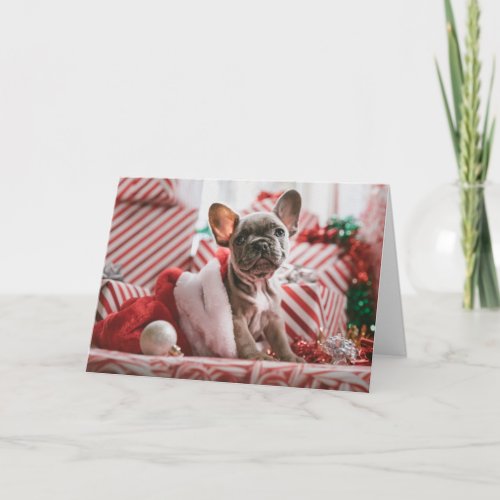 Cute French Bulldog Dog Lover Christmas Card