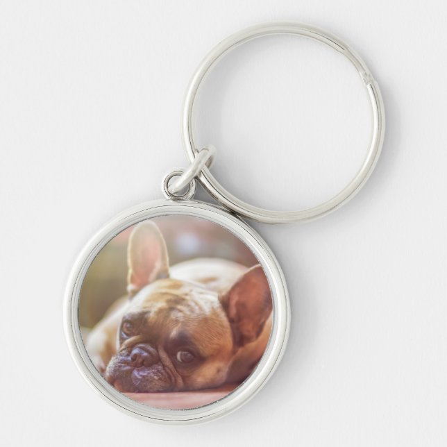 Cute French Bulldog Face, Lying Down Keychain (Front)