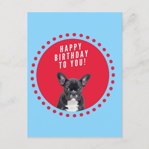 Cute French Bulldog Happy Birthday red dots blue Postcard