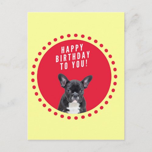 Cute French Bulldog Happy Birthday Red Dots Postcard