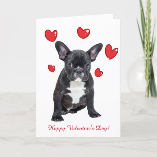 Cute French Bulldog Hearts Valentine Greeting Card