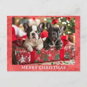 Cute French Bulldog Merry Christmas Postcard
