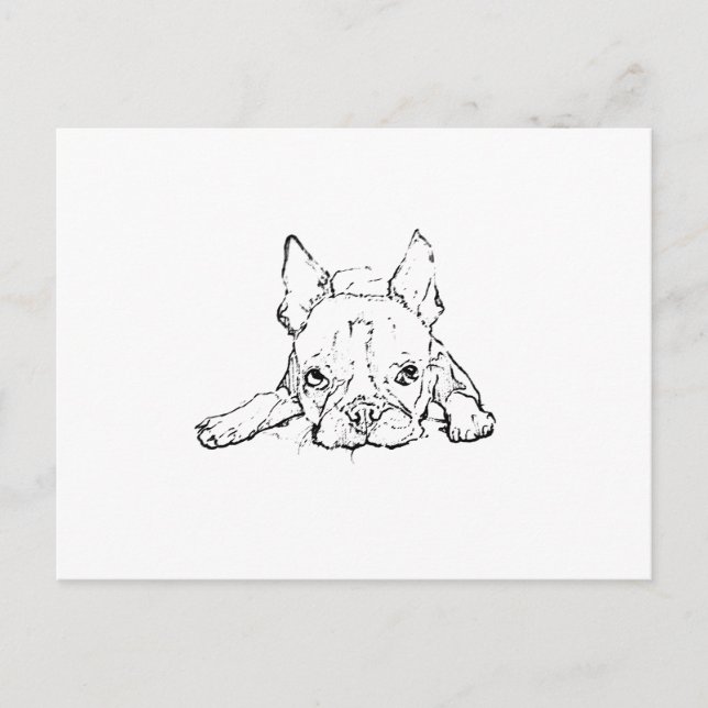 Cute French Bulldog, Personalized Postcard (Front)