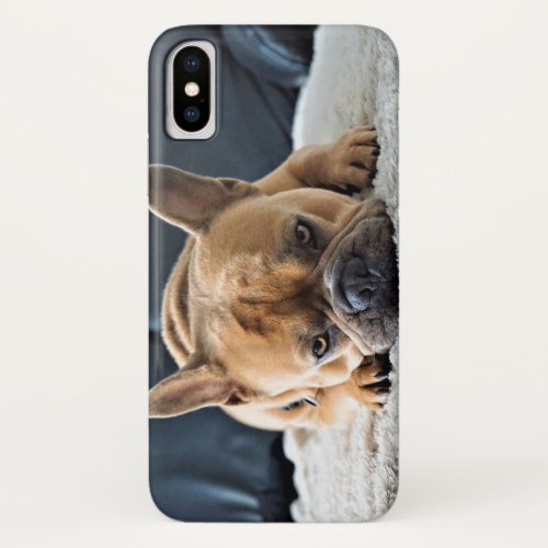 Cute French Bulldog Photo Phone Case