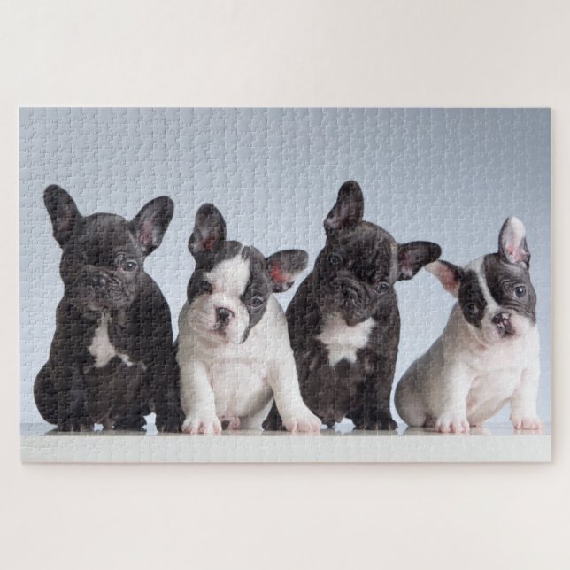 Cute French Bulldog Puppies Jigsaw Puzzle (Horizontal)