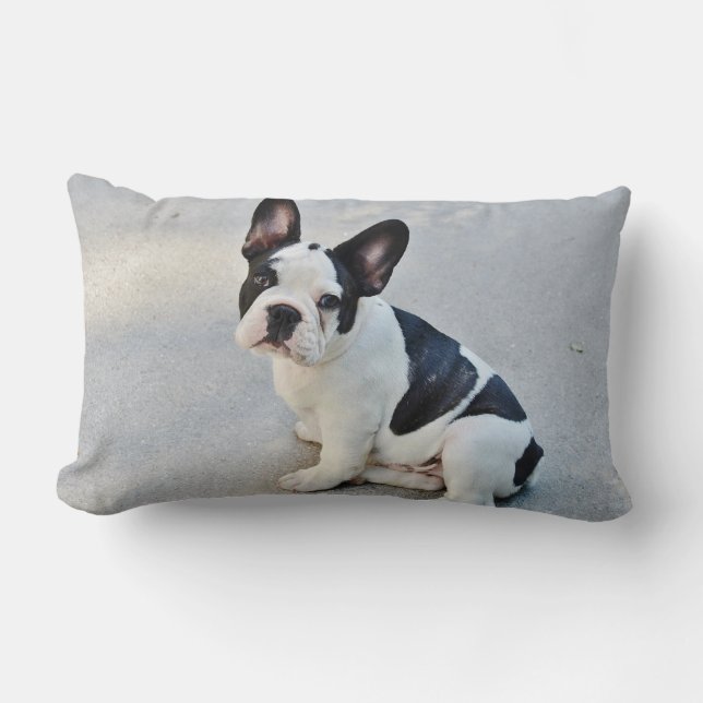 Cute French Bulldog Puppy black white Lumbar Pillow (Front)