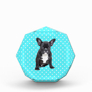Cute French Bulldog Puppy Blue Polka Dots Acrylic Award