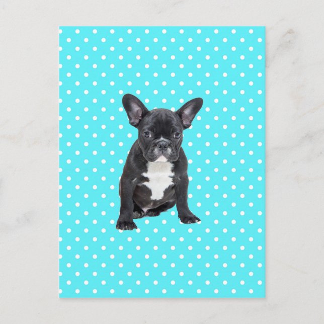 Cute French Bulldog Puppy Blue Polka Dots Postcard (Front)