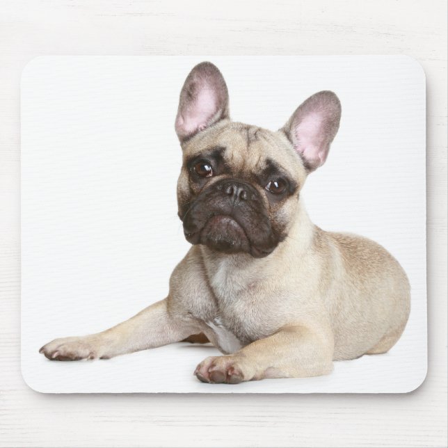 Cute French Bulldog Puppy Dog Mousepad (Front)