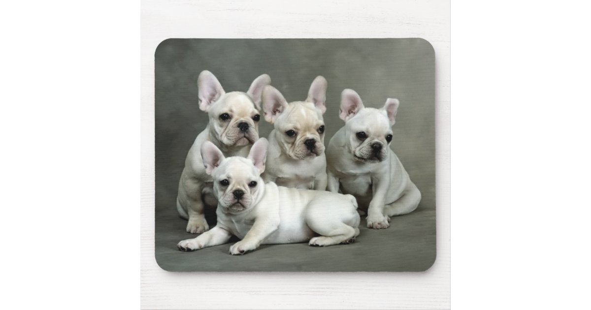 Cute French Bulldog Puppy Dog Mousepad | Zazzle