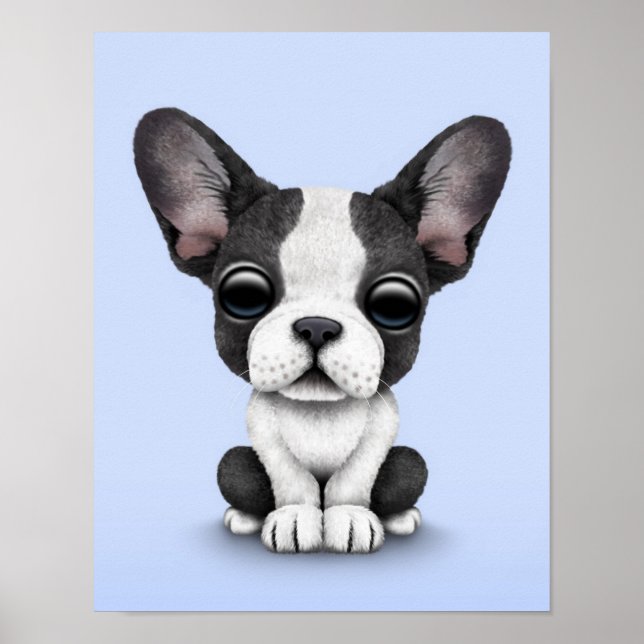 Cute French Bulldog Puppy Dog on Light Blue Poster (Front)