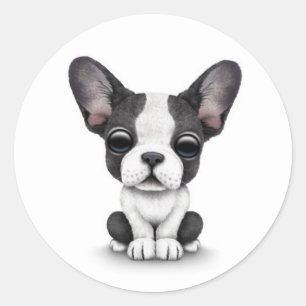 Cute French Bulldog Puppy Dog on White Classic Round Sticker