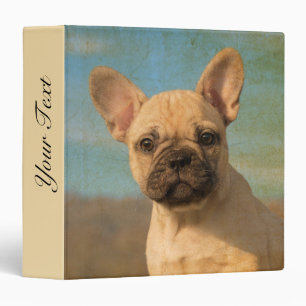 Cute French Bulldog Puppy - Funny Dog Head Photo - 3 Ring Binder