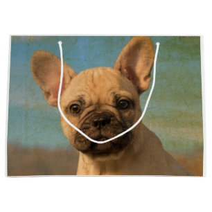 Cute French Bulldog Puppy - Funny Dog Head Photo . Large Gift Bag