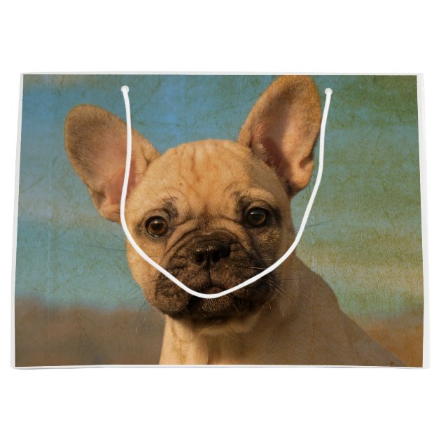 french bulldog gift bag