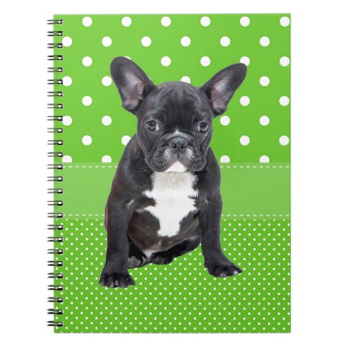 Cute French Bulldog Puppy Green Polka Dots Notebook