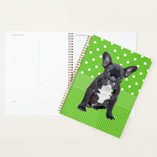 Cute French Bulldog Puppy Green Polka Dots Planner