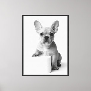 Cute French Bulldog Puppy Guarding Toilet Paper Canvas Print
