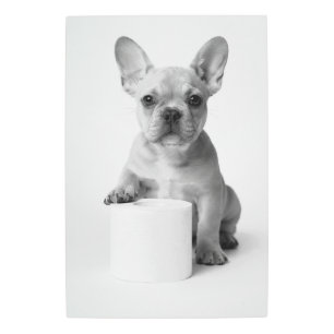 Cute French Bulldog Puppy Guarding Toilet Paper Metal Print