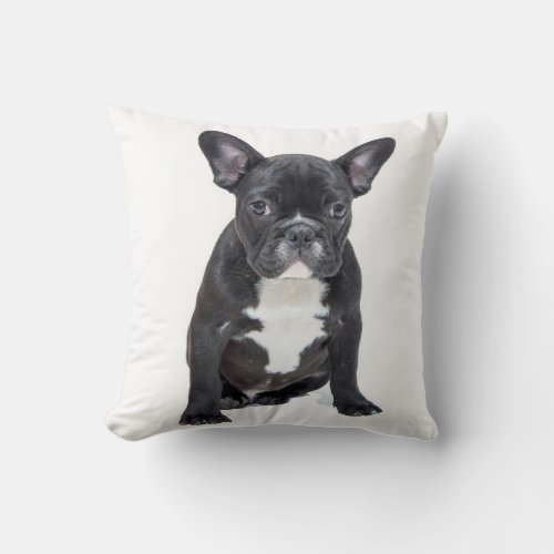 Cute French Bulldog Puppy Pillow