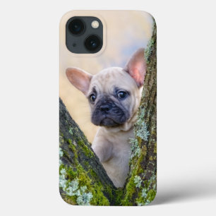 Cute French Bulldog Puppy Posing in a Branch Fork  iPhone 13 Case