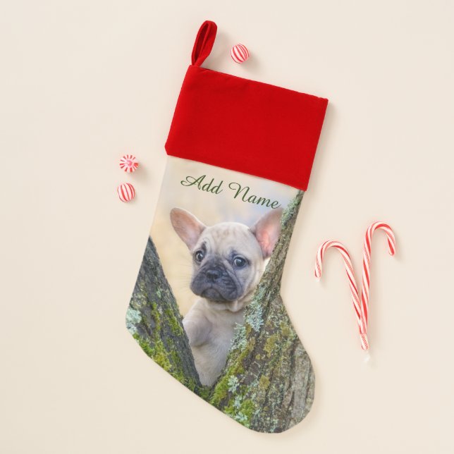 Cute French Bulldog Puppy Posing in a Branch Fork  Christmas Stocking (Front)