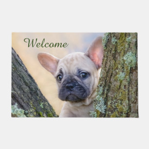 Cute French Bulldog Puppy Posing in a Branch Fork Doormat