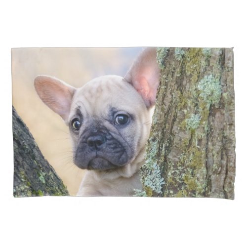 Cute French Bulldog Puppy Posing in a Branch Fork Pillow Case