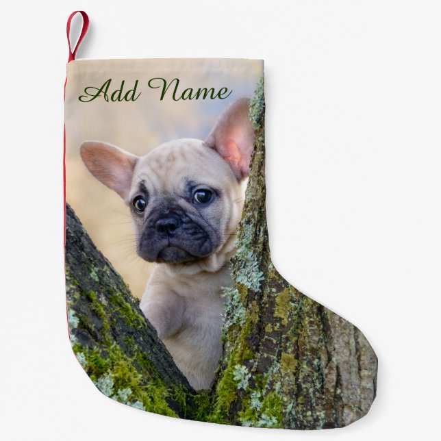 Cute French Bulldog Puppy Posing in a Branch Fork Small Christmas Stocking (Front)