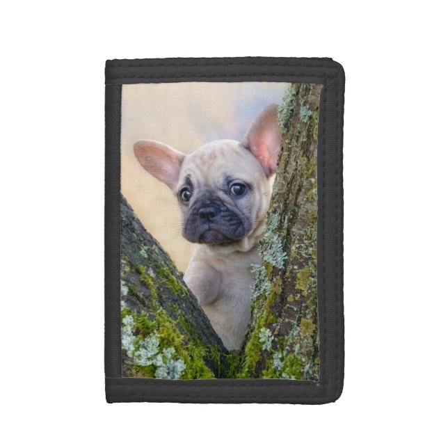 Cute French Bulldog Puppy Posing in a Branch Fork  Trifold Wallet (Front Vertical)