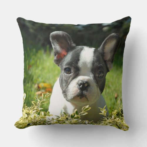 Cute French Bulldog Puppy Throw Pillow