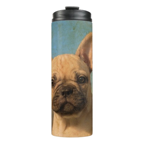 Cute French Bulldog Puppy Vintage Portrait Photo _ Thermal Tumbler