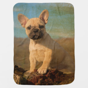 Cute French Bulldog puppy, vintage Receiving Blanket