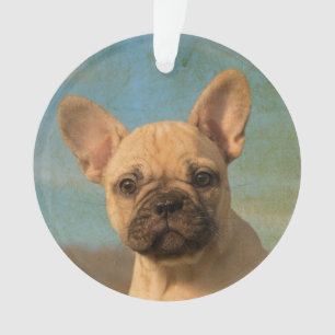 Cute French Bulldog Puppy Vintage - round acrylic Ornament
