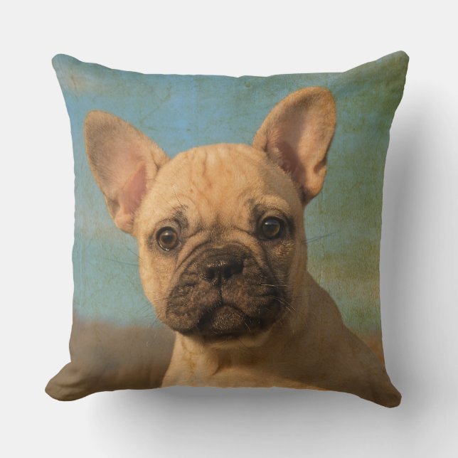 Cute French Bulldog puppy, vintage Throw Pillow (Front)
