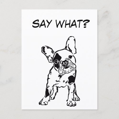 Cute French Bulldog  Say What Postcard